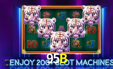 Flash Promotion 95B